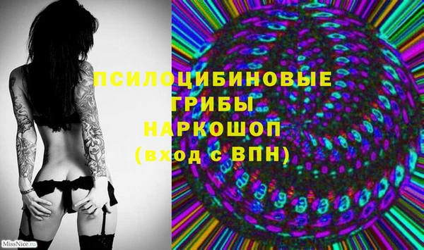 ПСИЛОЦИБИНОВЫЕ ГРИБЫ Красноперекопск