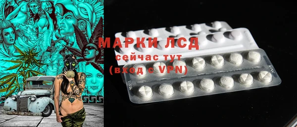 прущие грибы Кострома